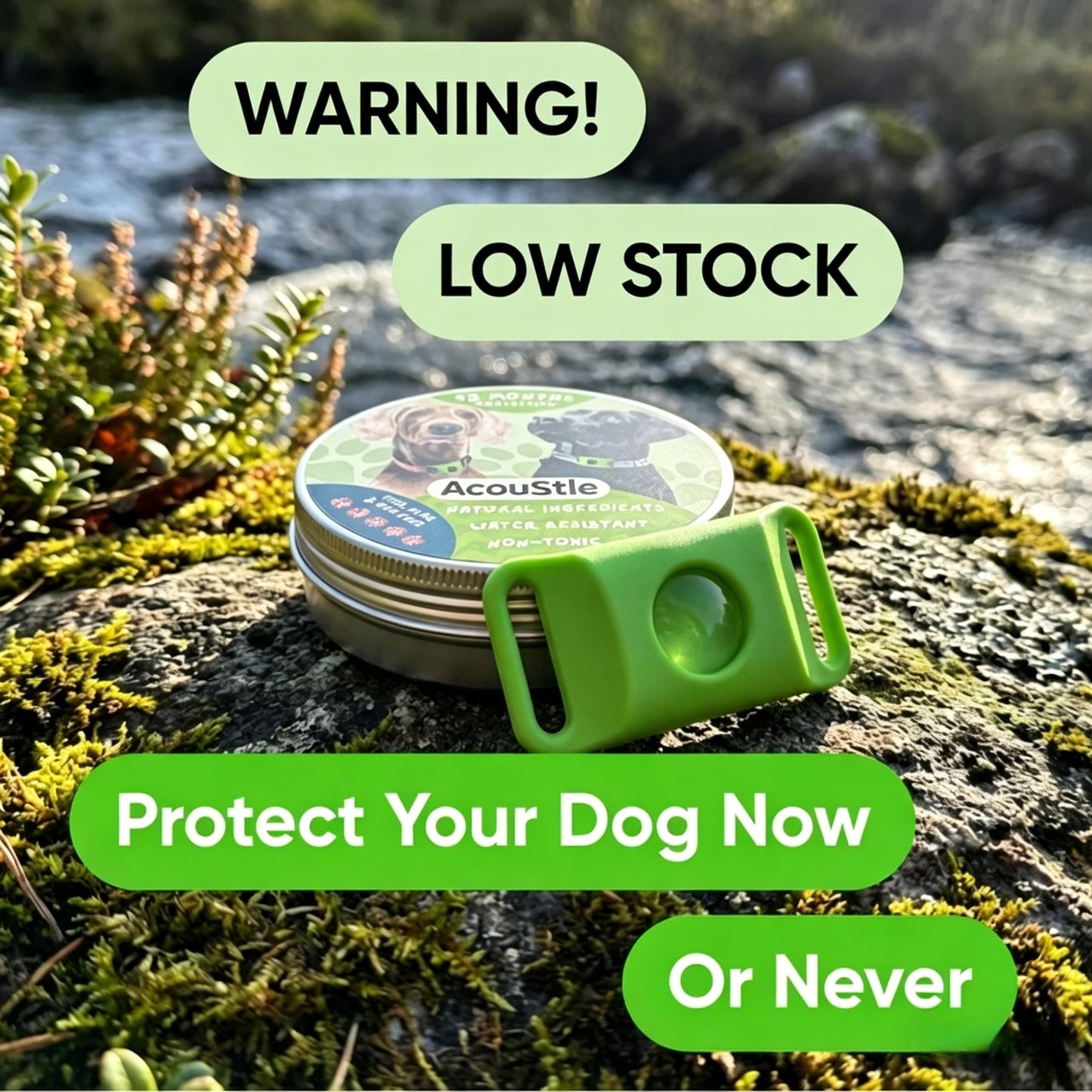2026🔥AcouStle-12 Months Flea & Tick Free