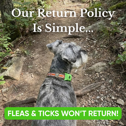 2026🔥AcouStle-12 Months Flea & Tick Free