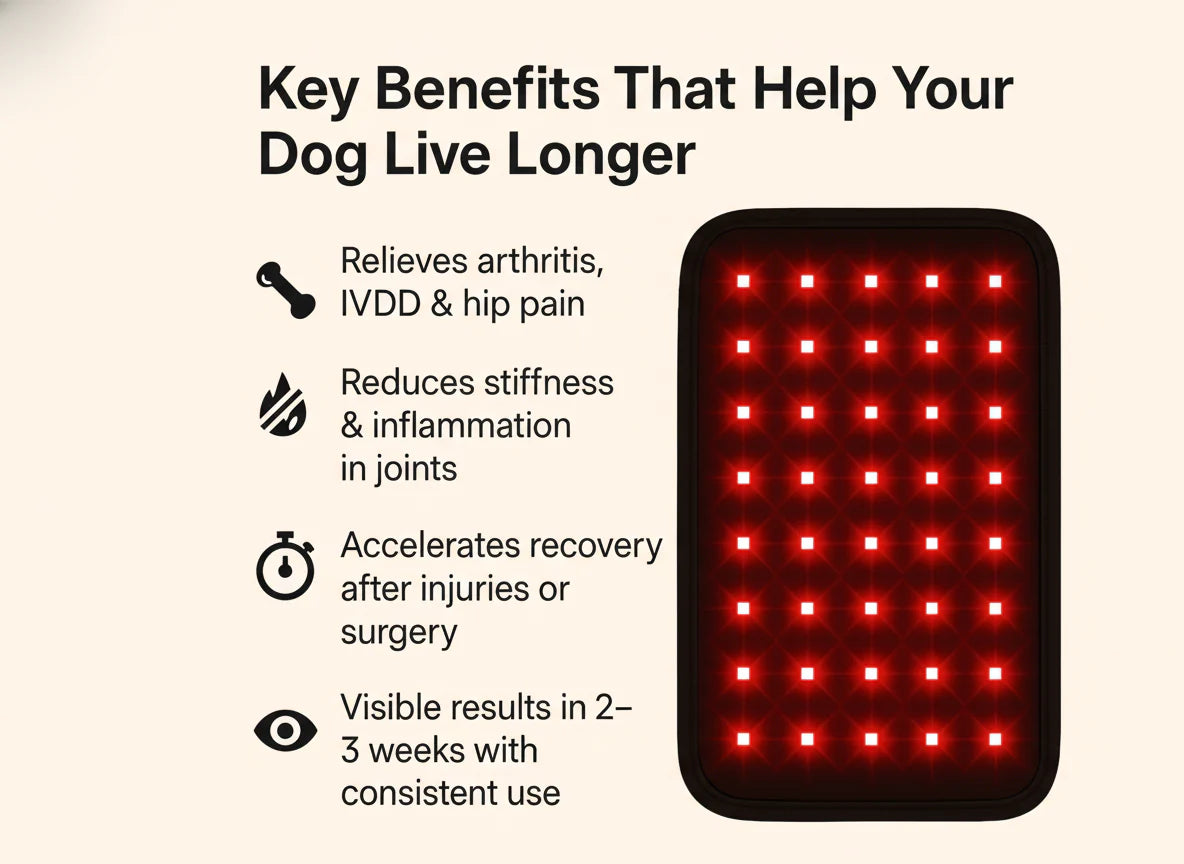 2026🔥 AcouStle Pet Red Light Pad