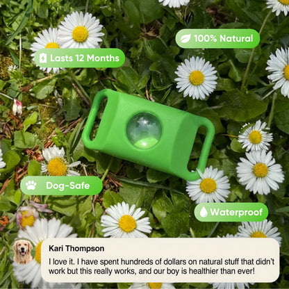 2026🔥AcouStle-12 Months Flea & Tick Free